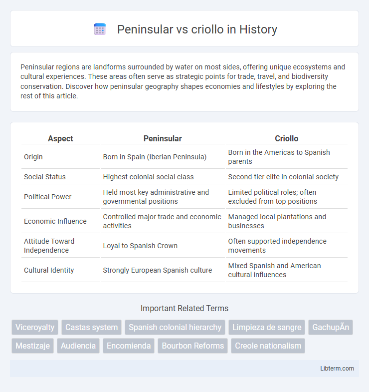 criollo vs Peninsular in History - What is The Difference?