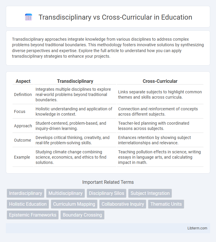 Cross-Curricular vs Transdisciplinary in Education - What is The Difference?
