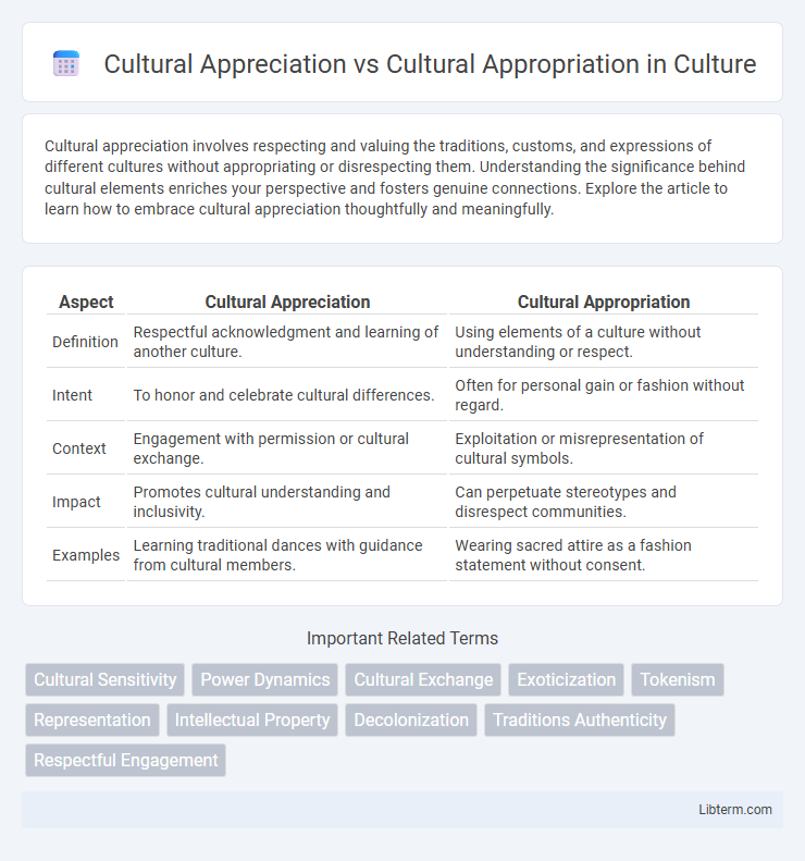 Cultural Appropriation vs Cultural Appreciation in Culture - What is The Difference?