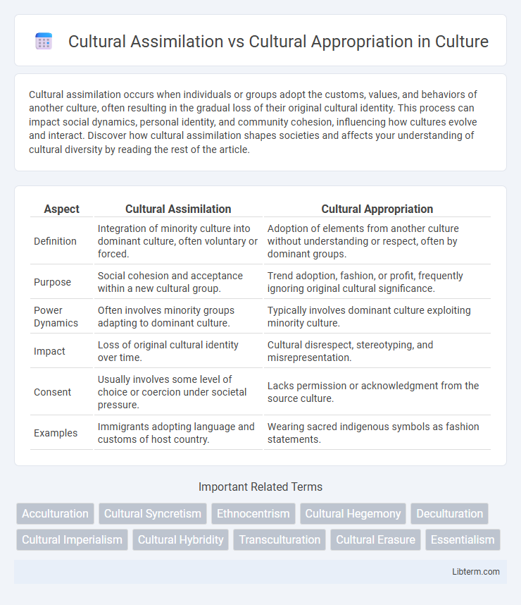 Cultural Appropriation vs Cultural Assimilation in Culture - What is The Difference?