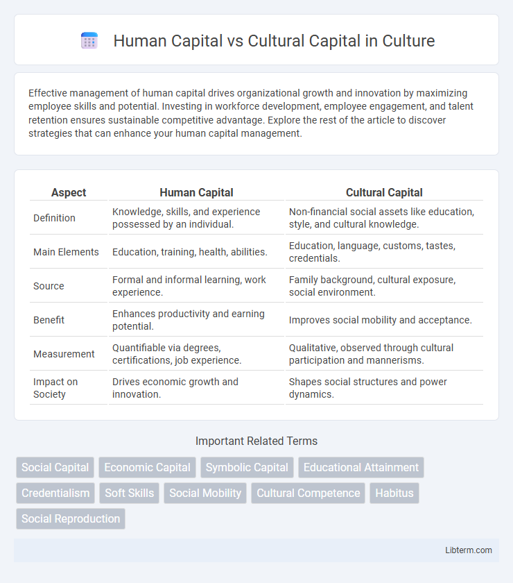 Cultural Capital vs Human Capital in Culture - What is The Difference?