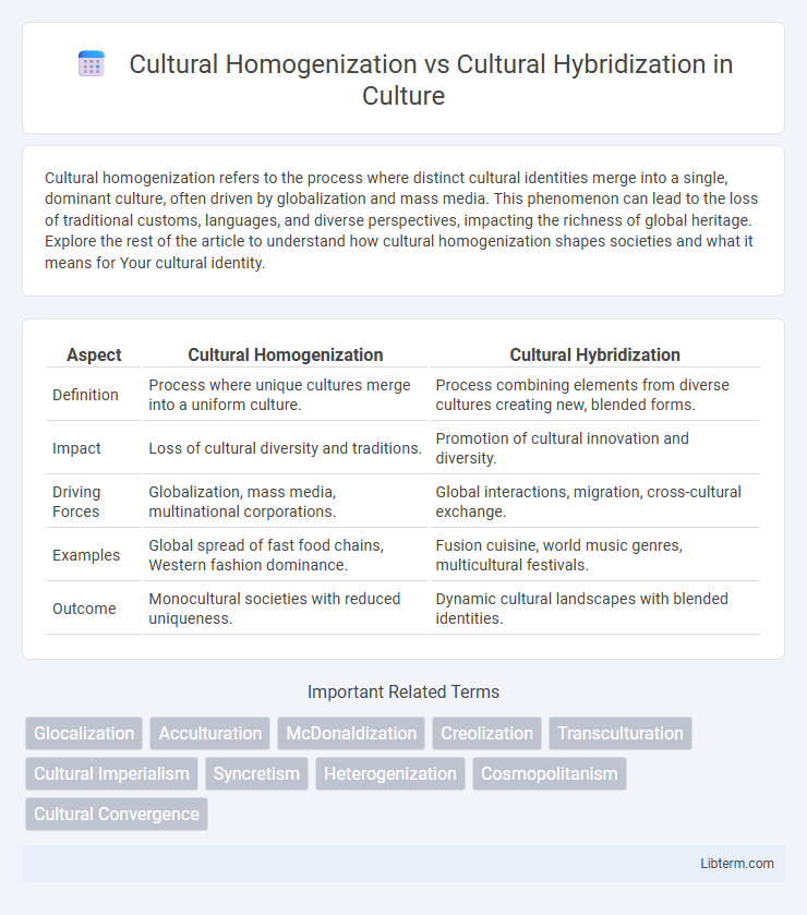 Cultural Hybridization vs Cultural Homogenization in Culture - What is The Difference?