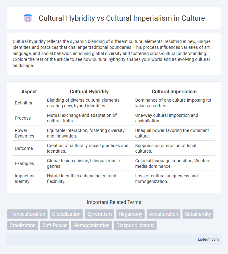 Cultural Imperialism vs Cultural Hybridity in Culture - What is The Difference?