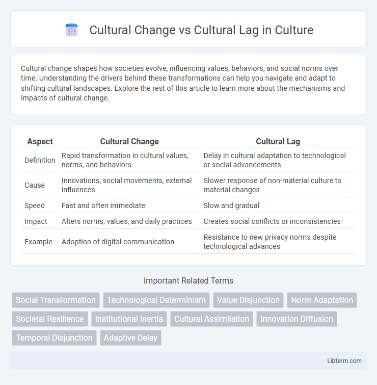 Cultural Lag vs Cultural Change in Culture - What is The Difference?
