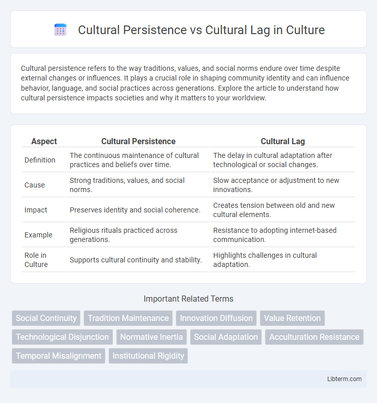 Cultural Lag vs Cultural Persistence in Culture - What is The Difference?