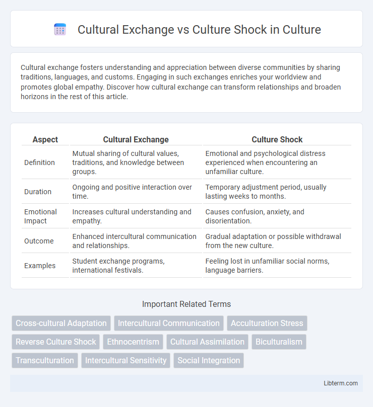 Culture Shock vs Cultural Exchange in Culture - What is The Difference?