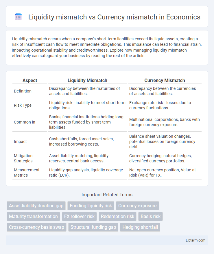 Currency mismatch vs Liquidity mismatch in Economics - What is The Difference?