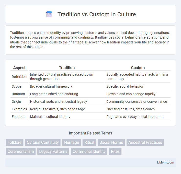 Custom vs Tradition in Culture - What is The Difference?