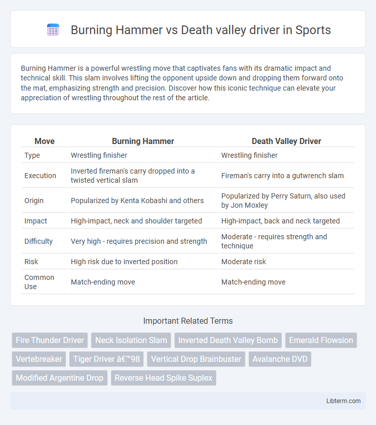 Death valley driver vs Burning Hammer in Sports - What is The Difference?