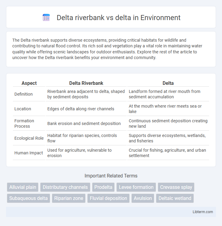 delta vs Delta riverbank in Environment - What is The Difference?