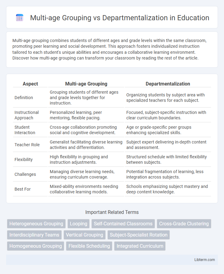 Departmentalization vs Multi-age Grouping in Education - What is The Difference?