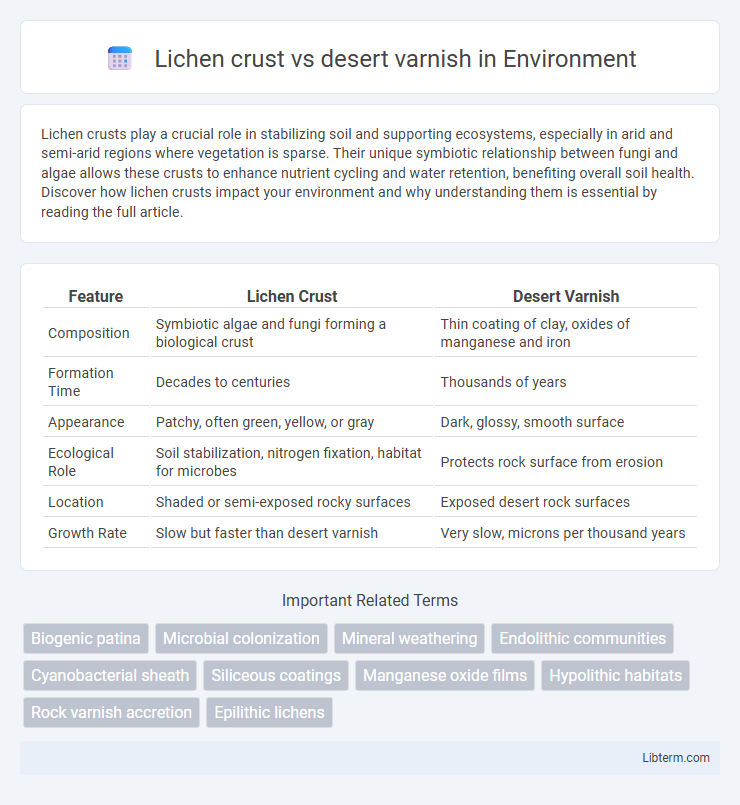 desert varnish vs Lichen crust in Environment - What is The Difference?