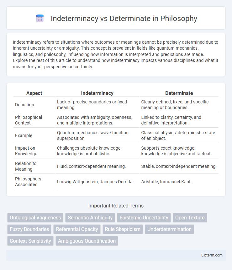 Determinate vs Indeterminacy in Philosophy - What is The Difference?