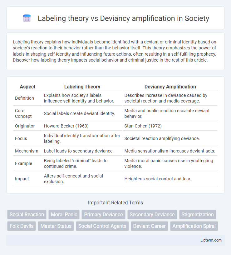 Deviancy amplification vs Labeling theory in Society - What is The Difference?