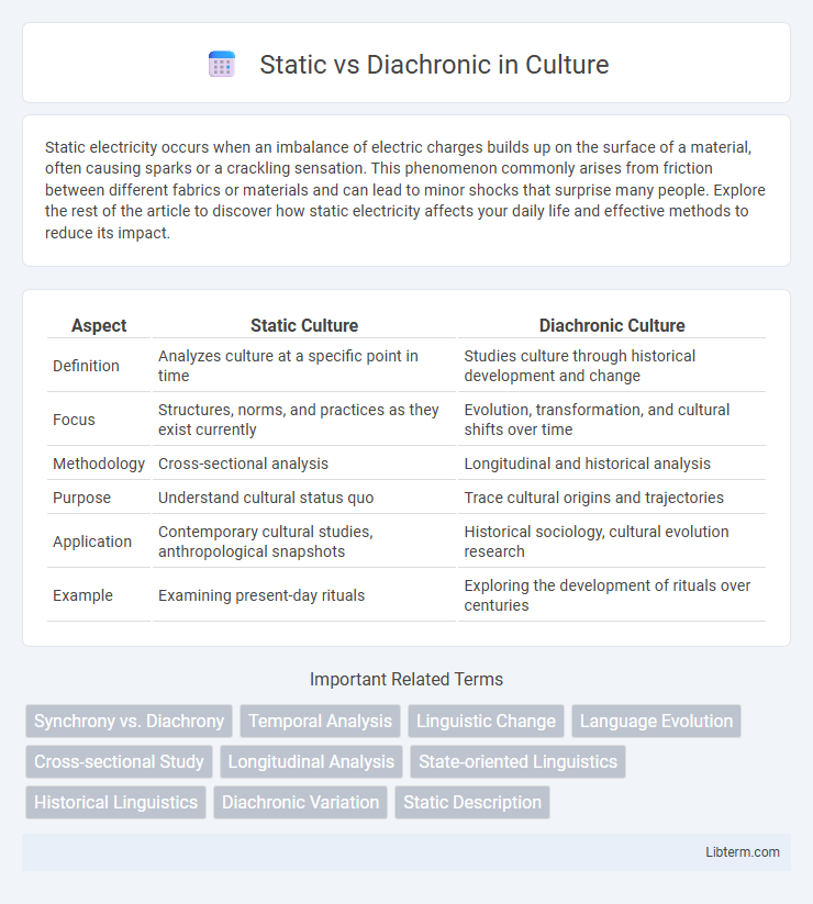 Diachronic vs Static in Culture - What is The Difference?