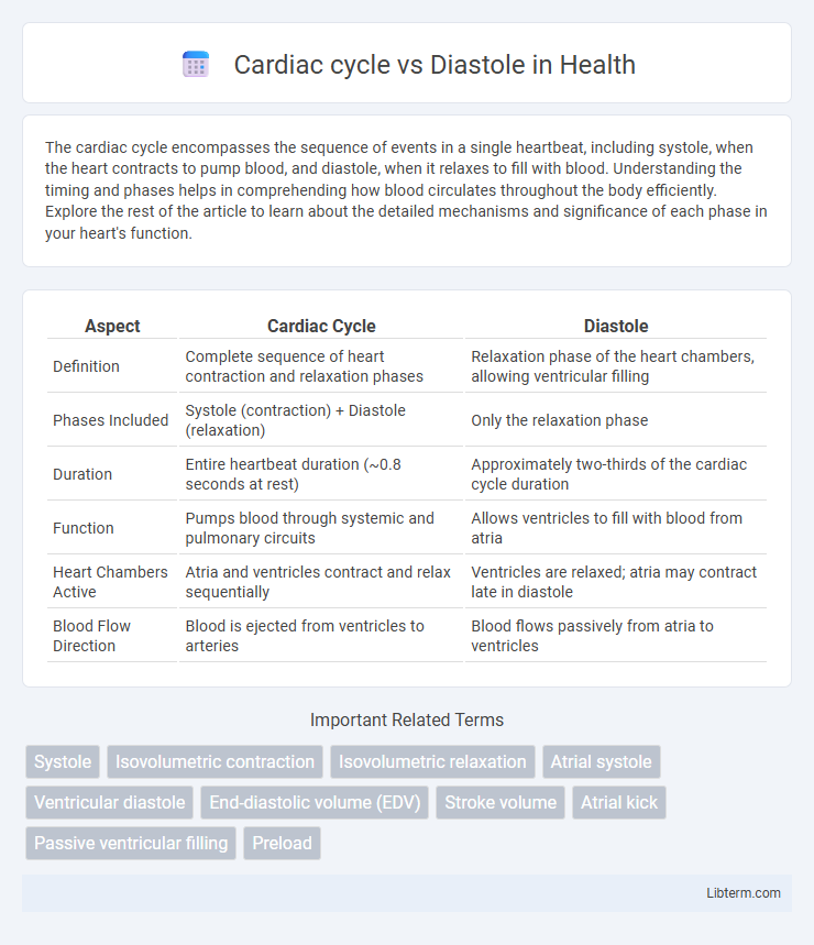 Diastole vs Cardiac cycle in Health - What is The Difference?
