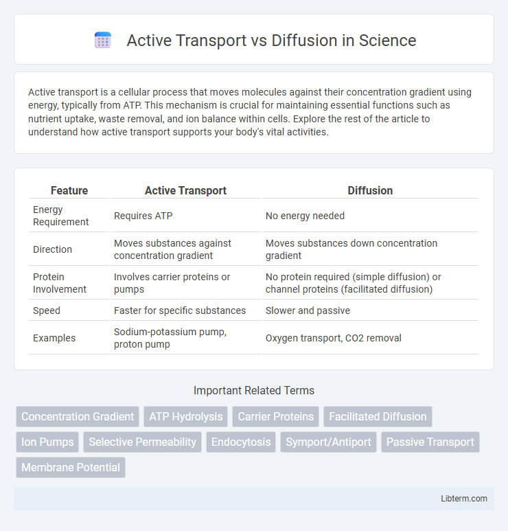 Diffusion vs Active Transport in Science - What is The Difference?