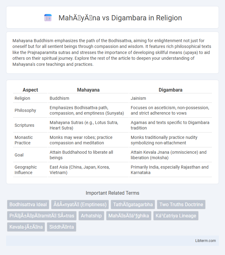 Digambara vs Mahāyāna in Religion - What is The Difference?