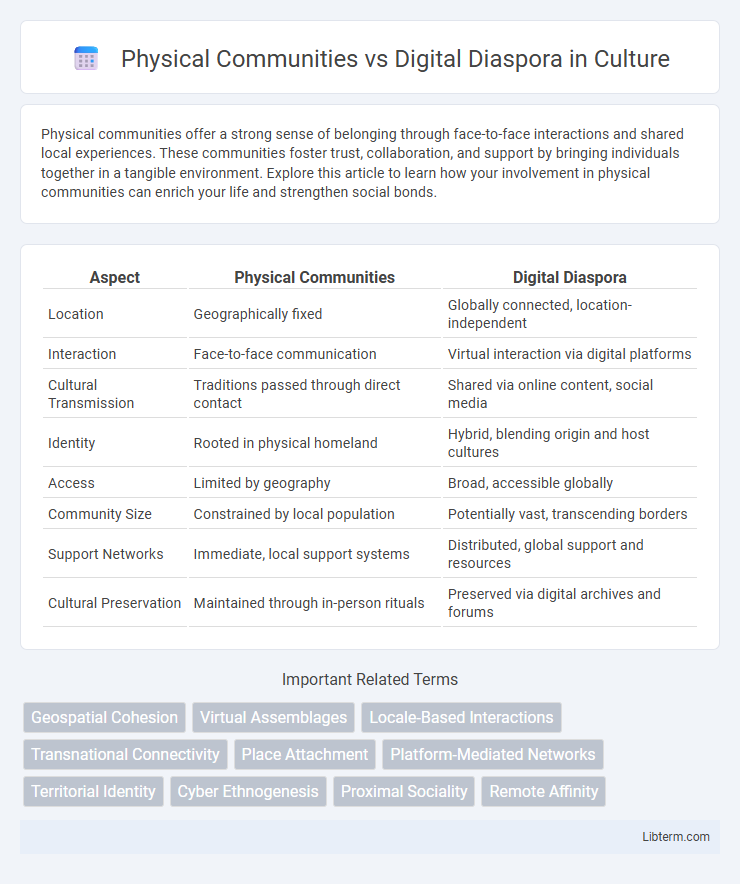Digital Diaspora vs Physical Communities in Culture - What is The Difference?