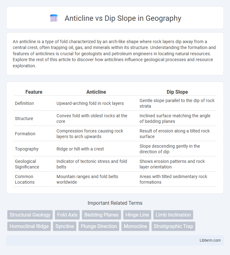 Dip Slope vs Anticline in Geography - What is The Difference?