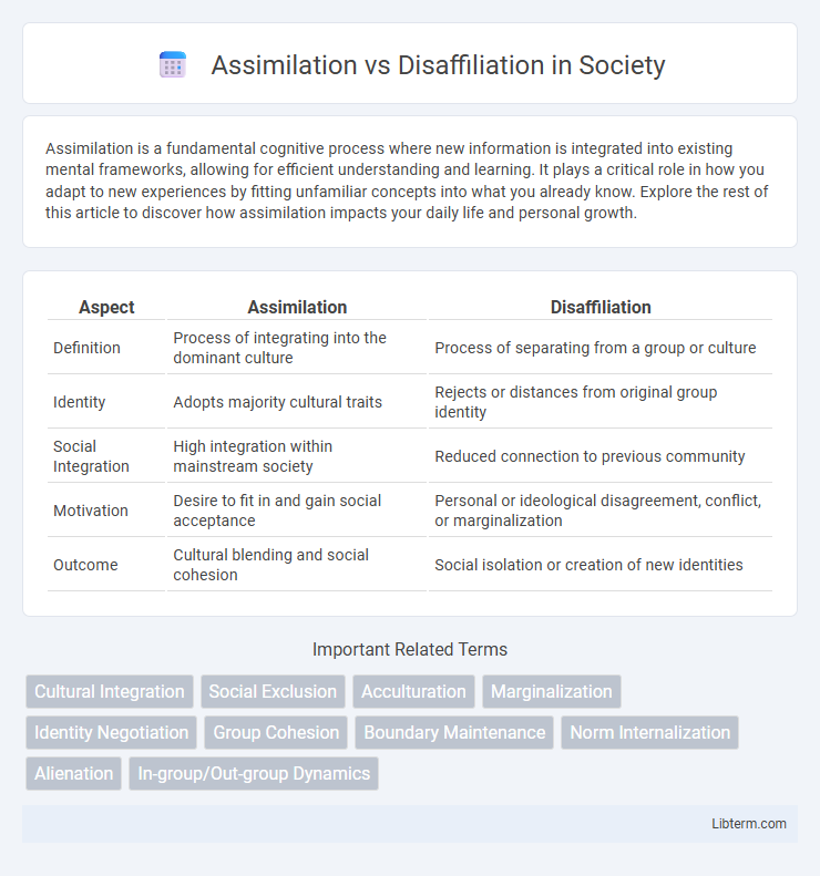 Disaffiliation vs Assimilation in Society - What is The Difference?