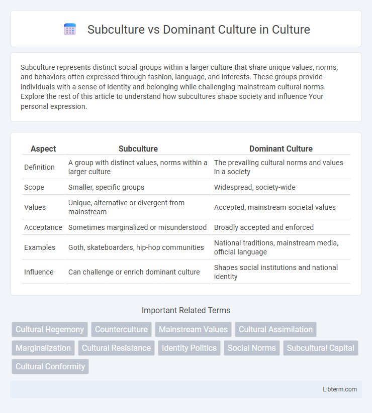 Dominant Culture vs Subculture in Culture - What is The Difference?