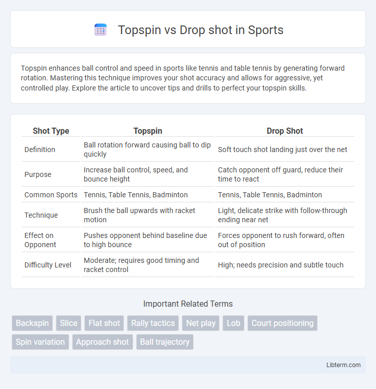 Drop shot vs Topspin in Sports - What is The Difference?
