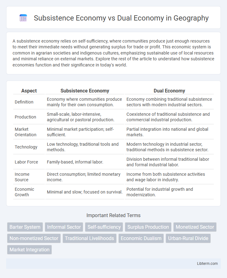 Dual Economy vs Subsistence Economy in Geography - What is The Difference?