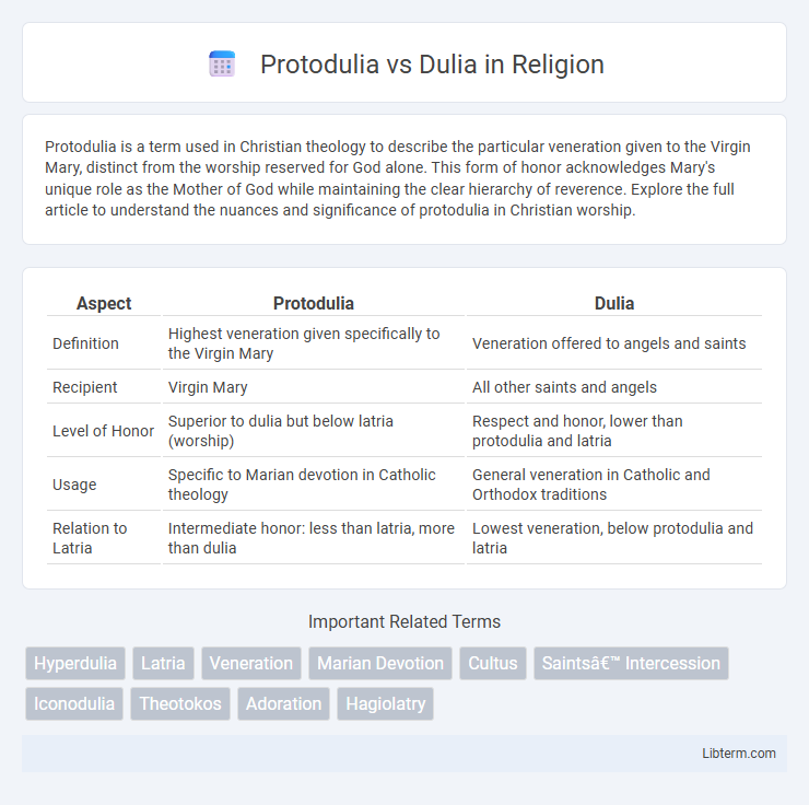 Dulia vs Protodulia in Religion - What is The Difference?