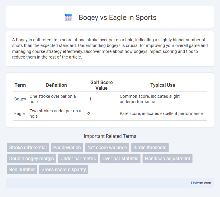 Eagle vs Bogey in Sports - What is The Difference?