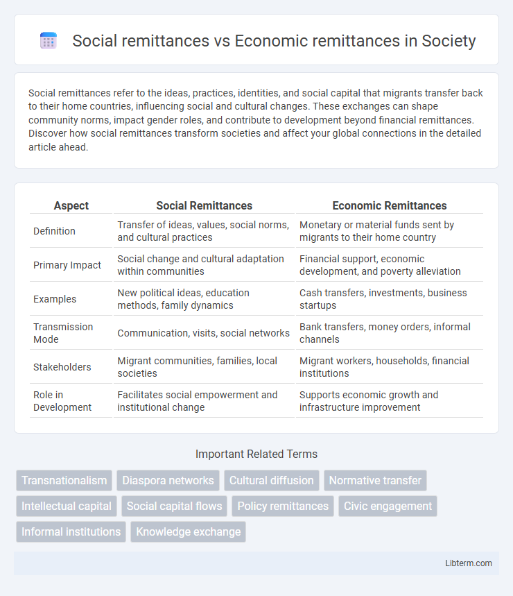 Economic remittances vs Social remittances in Society - What is The Difference?