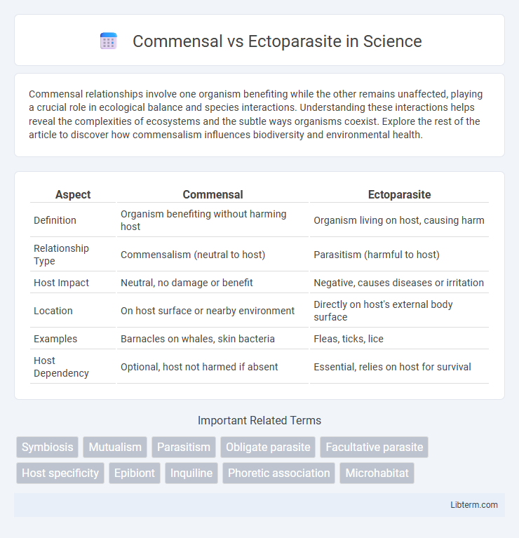 Ectoparasite vs Commensal in Science - What is The Difference?