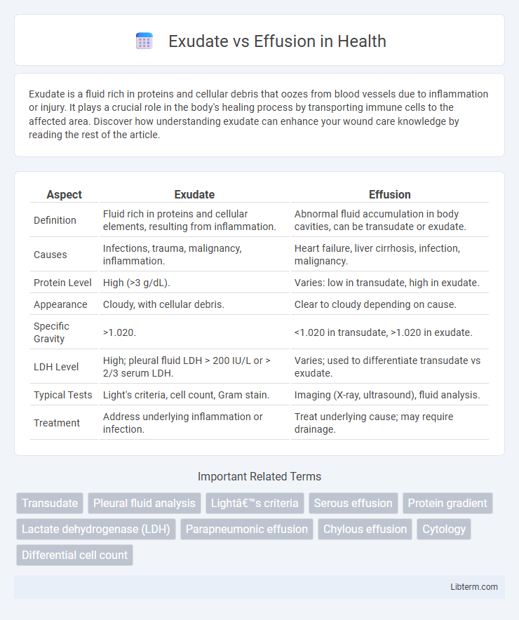Effusion vs Exudate in Health - What is The Difference?