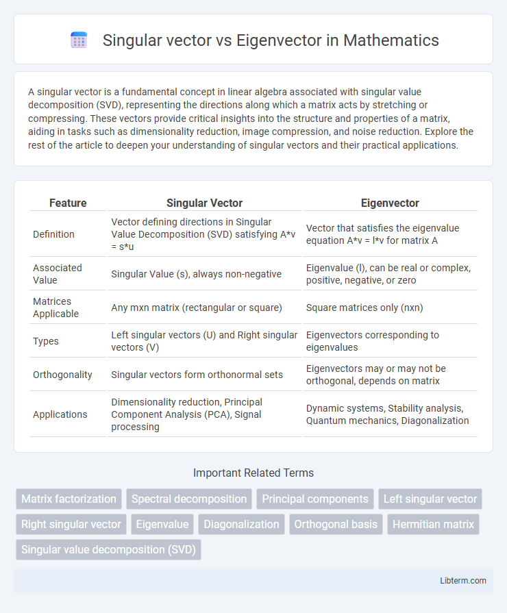 Eigenvector vs Singular vector in Mathematics - What is The Difference?