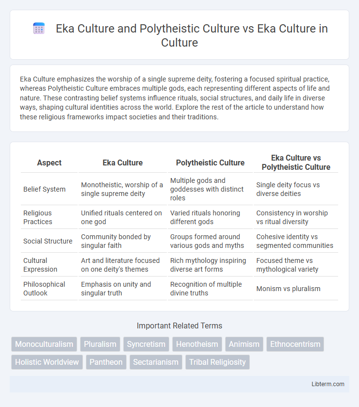 Eka Culture vs Eka Culture and Polytheistic Culture in Culture - What is The Difference?