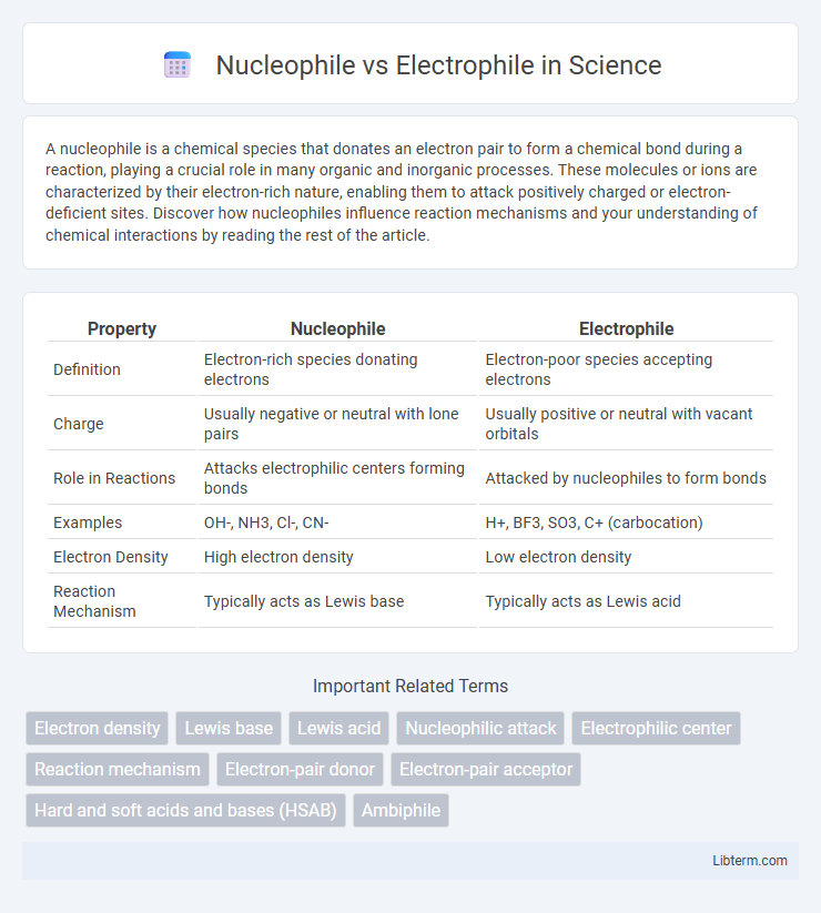 Electrophile vs Nucleophile in Science - What is The Difference?