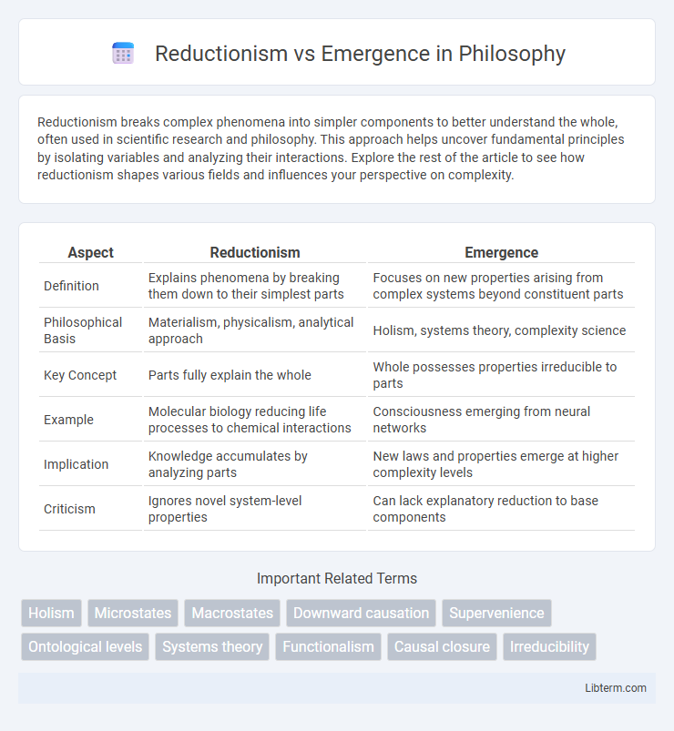 Emergence vs Reductionism in Philosophy - What is The Difference?