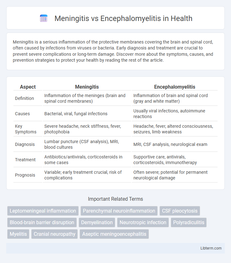 Encephalomyelitis vs Meningitis in Health - What is The Difference?
