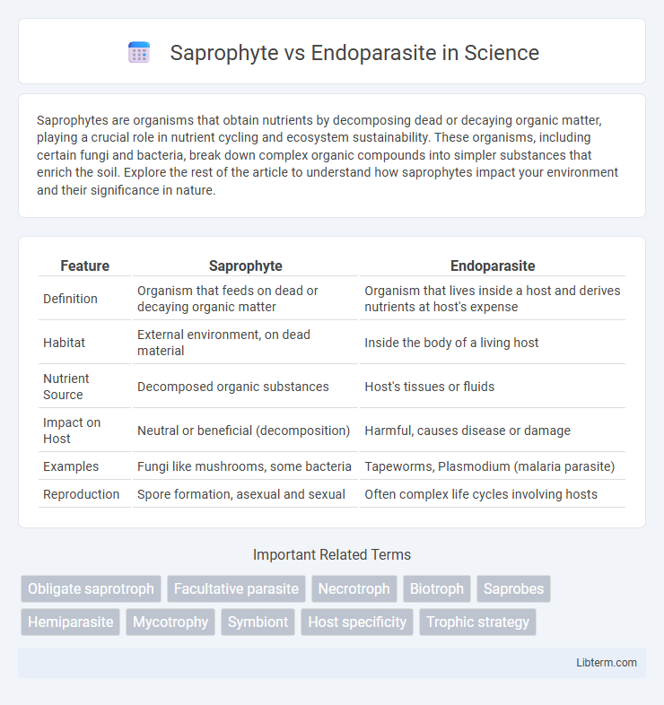 Endoparasite vs Saprophyte in Science - What is The Difference?