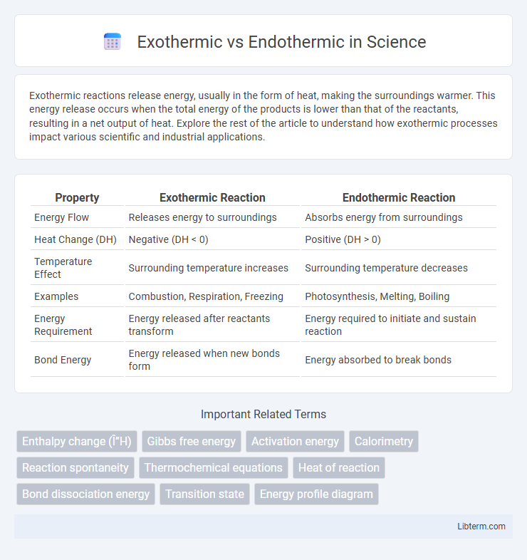 Endothermic vs Exothermic in Science - What is The Difference?