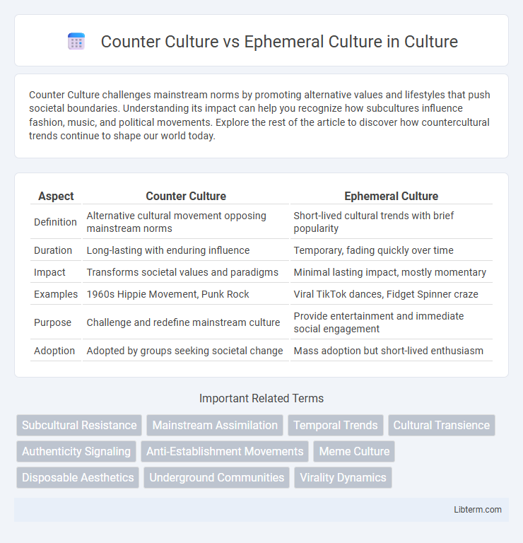 Ephemeral Culture vs Counter Culture in Culture - What is The Difference?