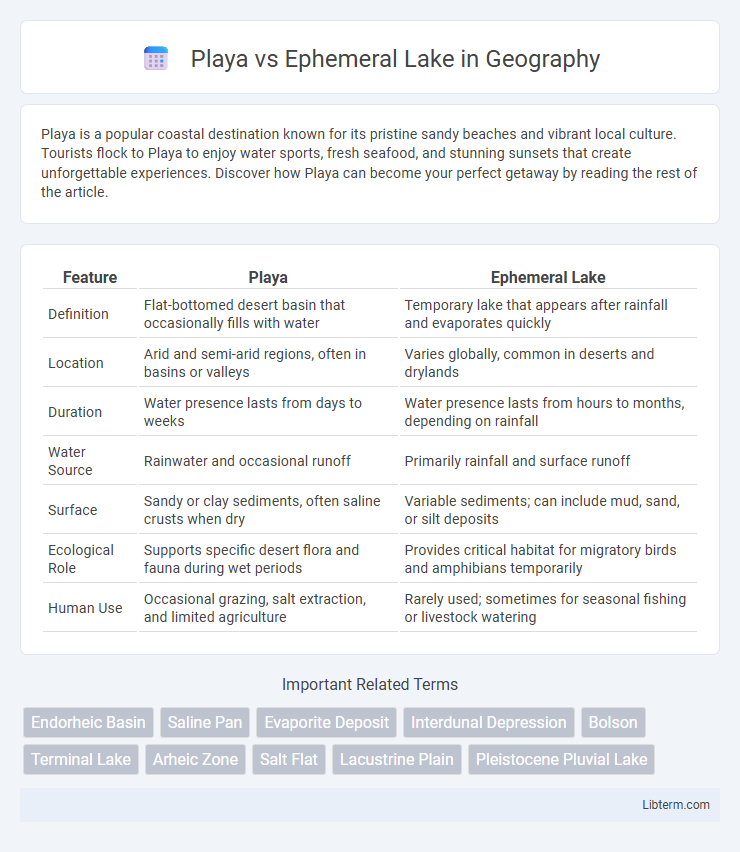 Ephemeral Lake vs Playa in Geography - What is The Difference?
