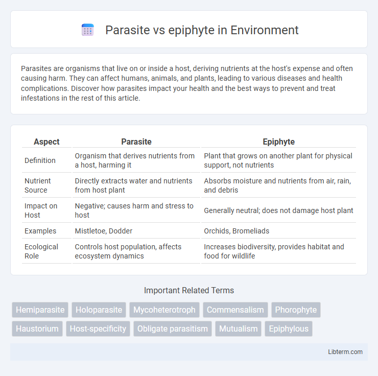epiphyte vs Parasite in Environment - What is The Difference?