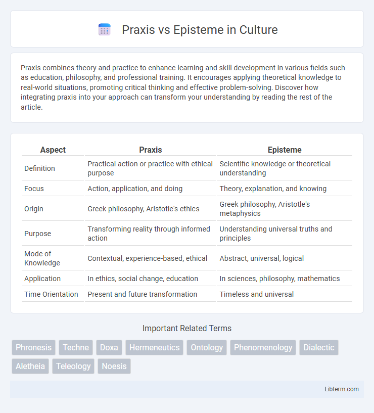 Episteme vs Praxis in Culture - What is The Difference?