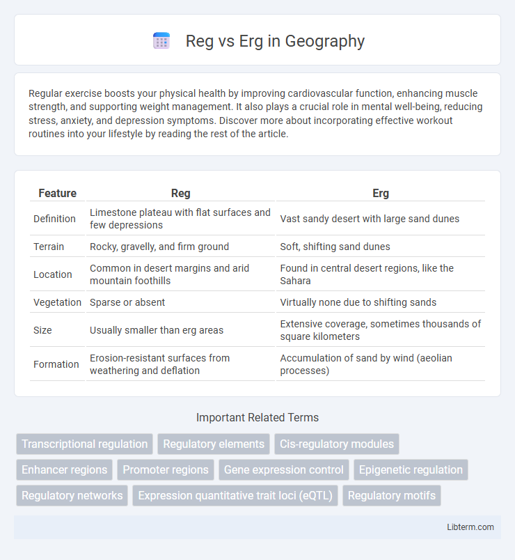 Erg vs Reg in Geography - What is The Difference?