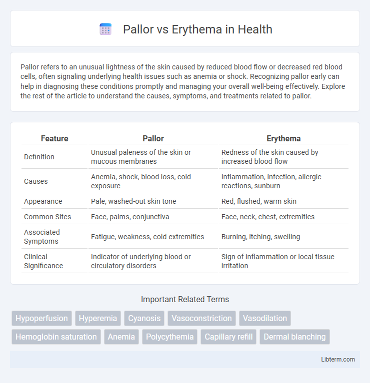 Erythema vs Pallor in Health - What is The Difference?