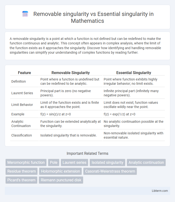 Essential singularity vs Removable singularity in Mathematics - What is The Difference?
