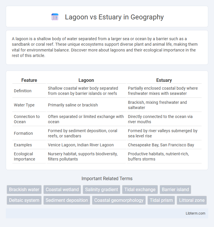 Estuary vs Lagoon in Geography - What is The Difference?