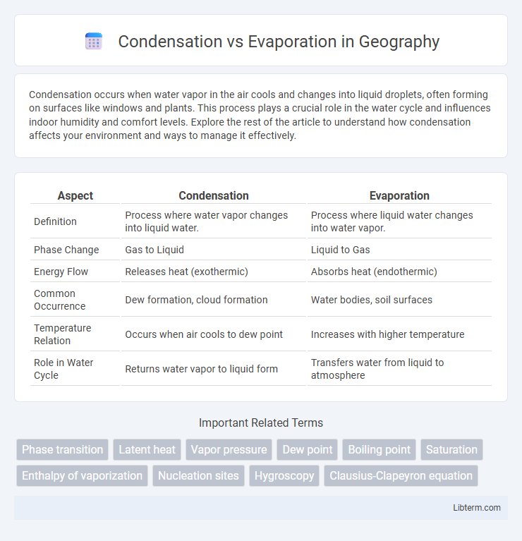 Evaporation vs Condensation in Geography - What is The Difference?