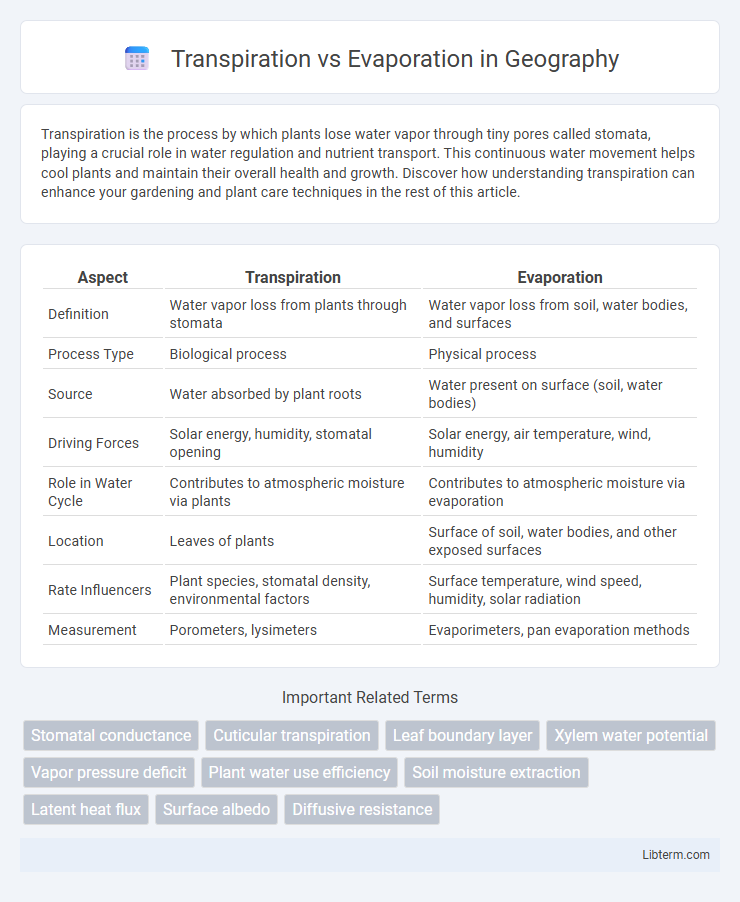 Evaporation vs Transpiration in Geography - What is The Difference?